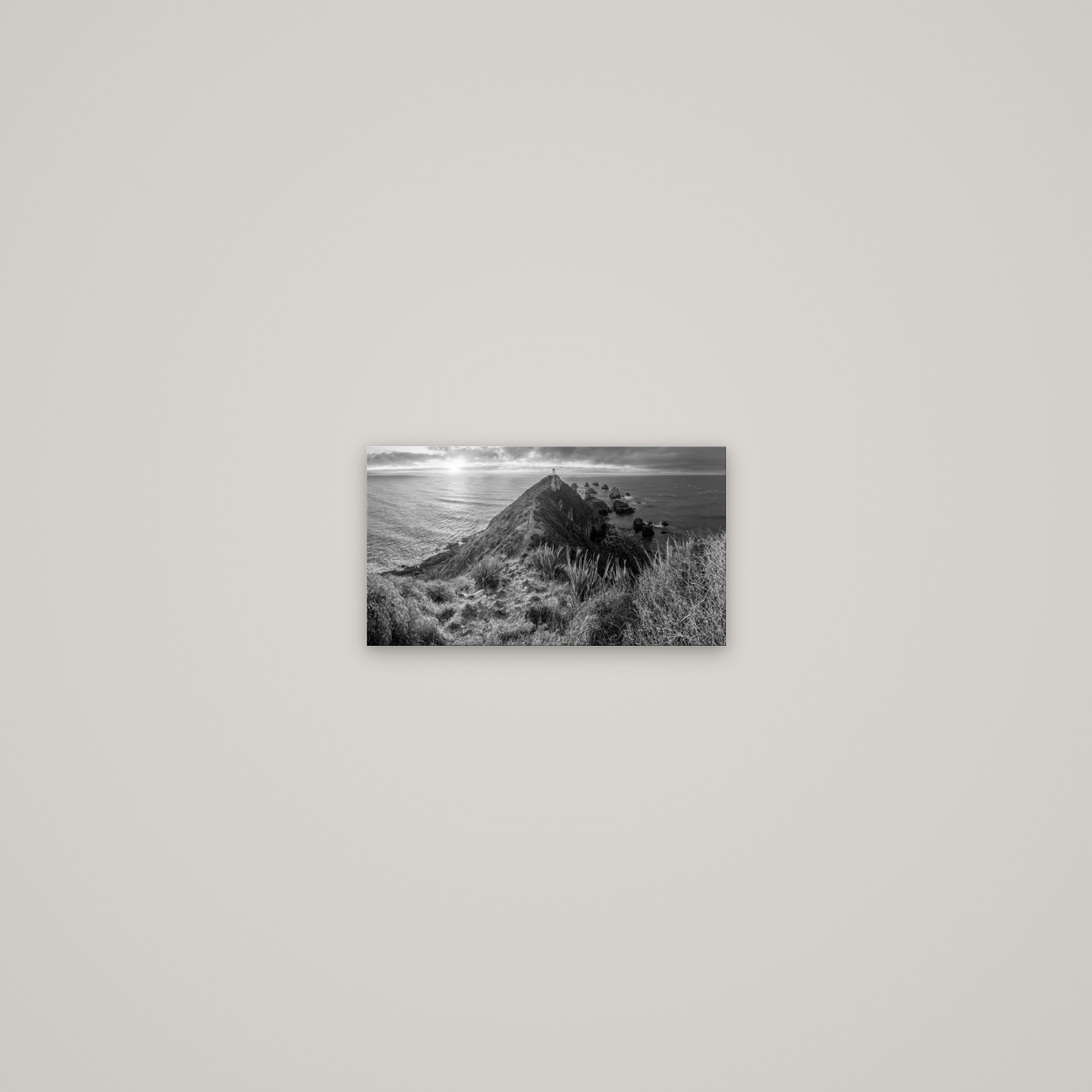Guiding Light, Nugget Point Sunrise — No frame, 27×15 cm. New Zealand fine art wall art by Stephen Milner.