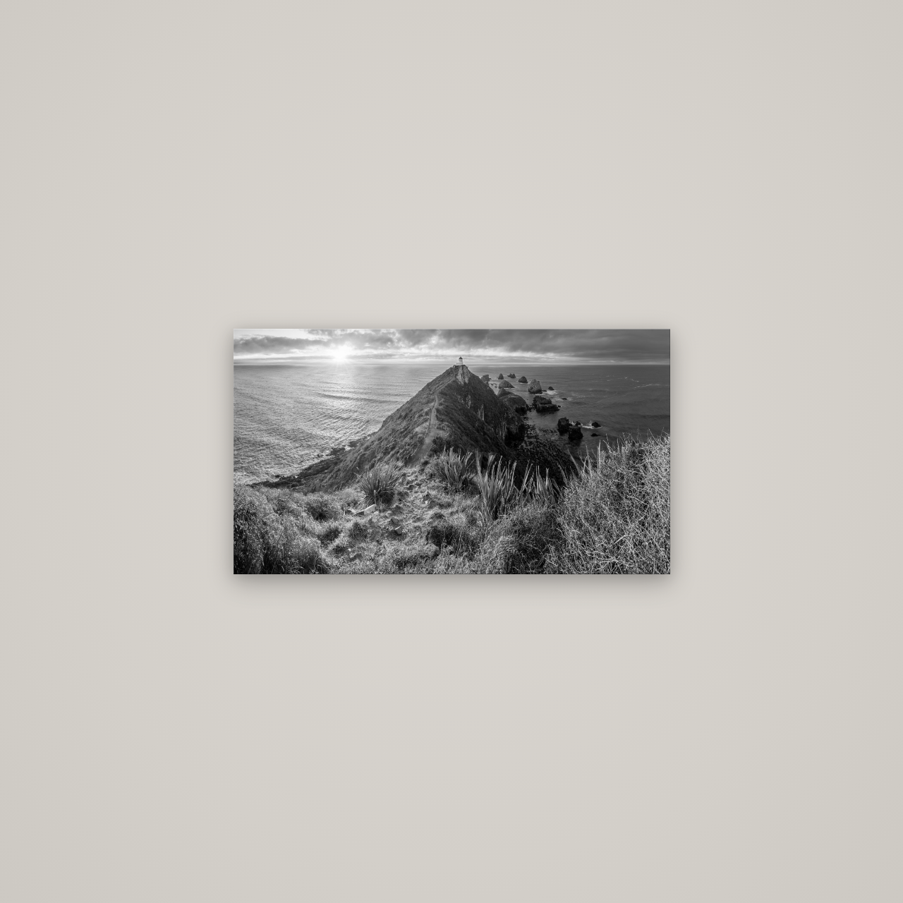 Guiding Light, Nugget Point Sunrise — No frame, 64×36 cm. New Zealand fine art wall art by Stephen Milner.