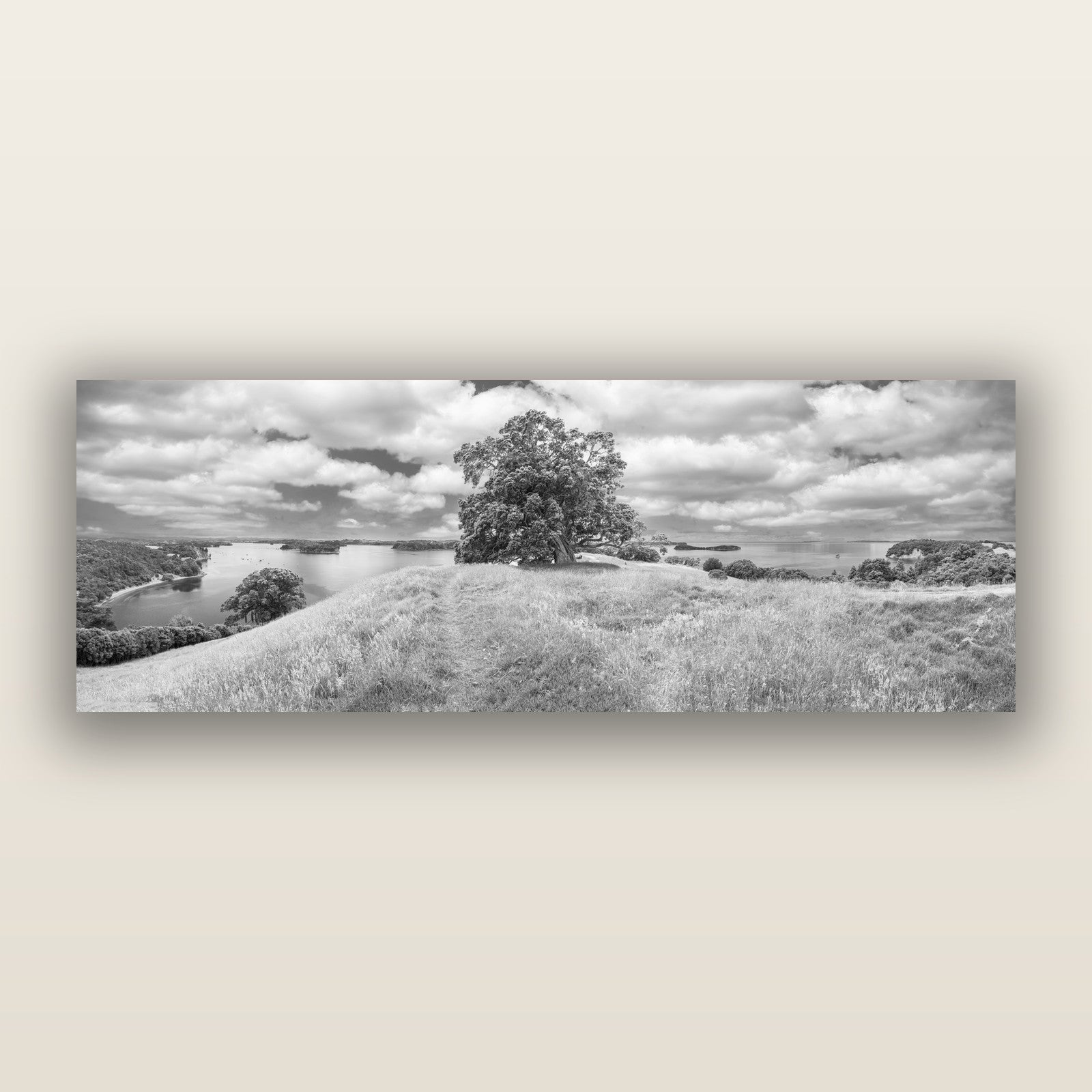 Harbour of Tranquility, Pōhutukawa Bloom at Mahurangi, black and white frameless acrylic glass print. New Zealand fine art photography by Stephen Milner.