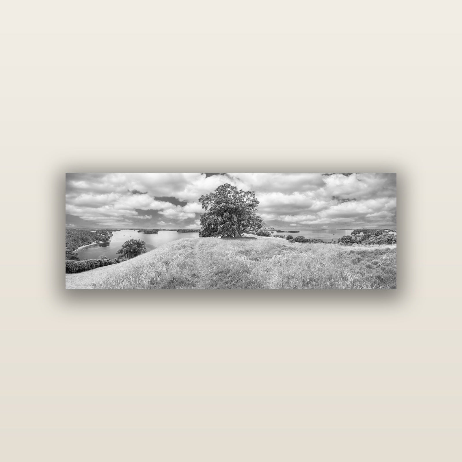 Harbour of Tranquility, Pōhutukawa Bloom at Mahurangi — acrylic panel print, small 76 × 25 cm. New Zealand fine art landscape wall art by Stephen Milner.