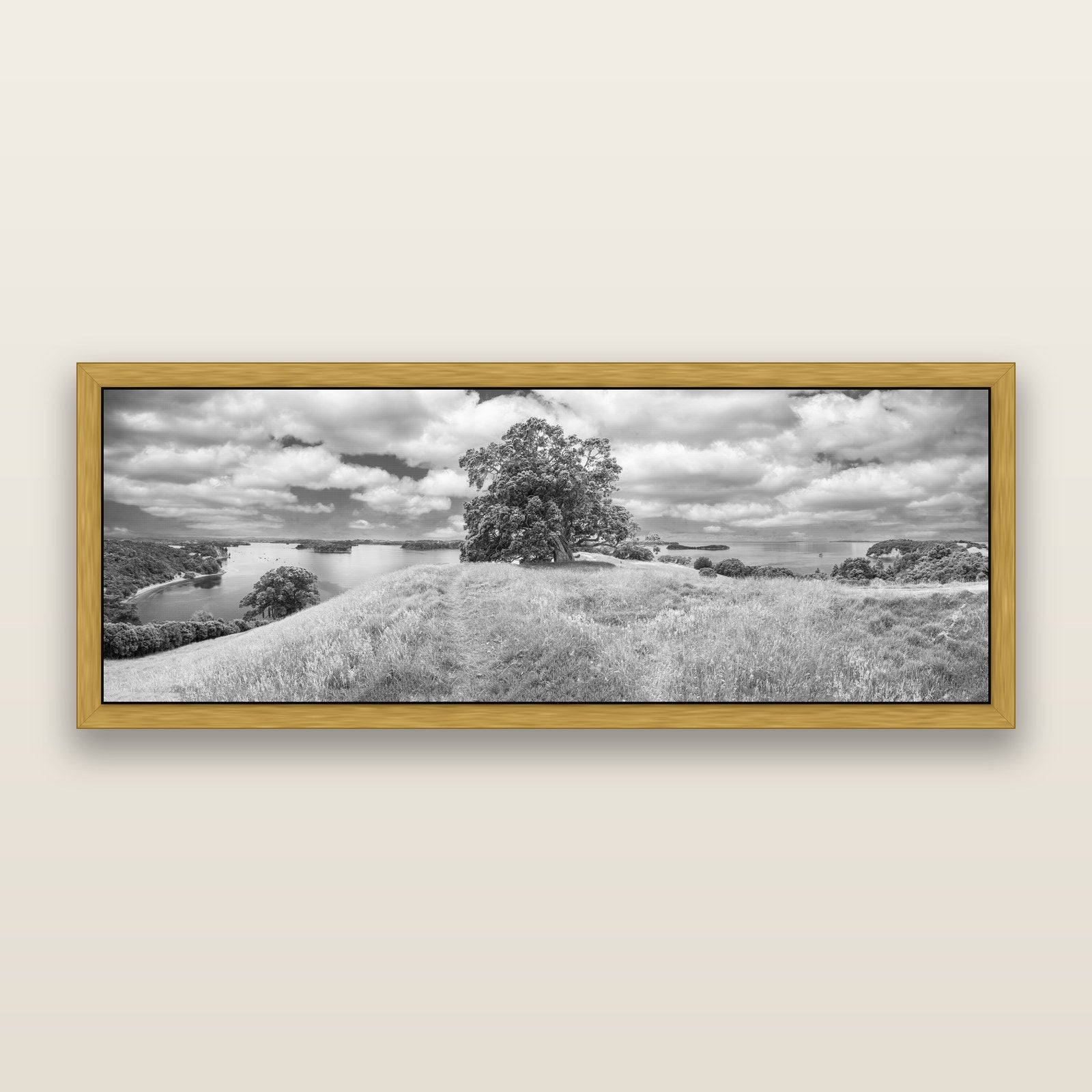 Harbour of Tranquility, Pōhutukawa Bloom at Mahurangi, black and white framed metallic canvas print, Antique Gold frame. New Zealand fine art wall art by Stephen Milner.