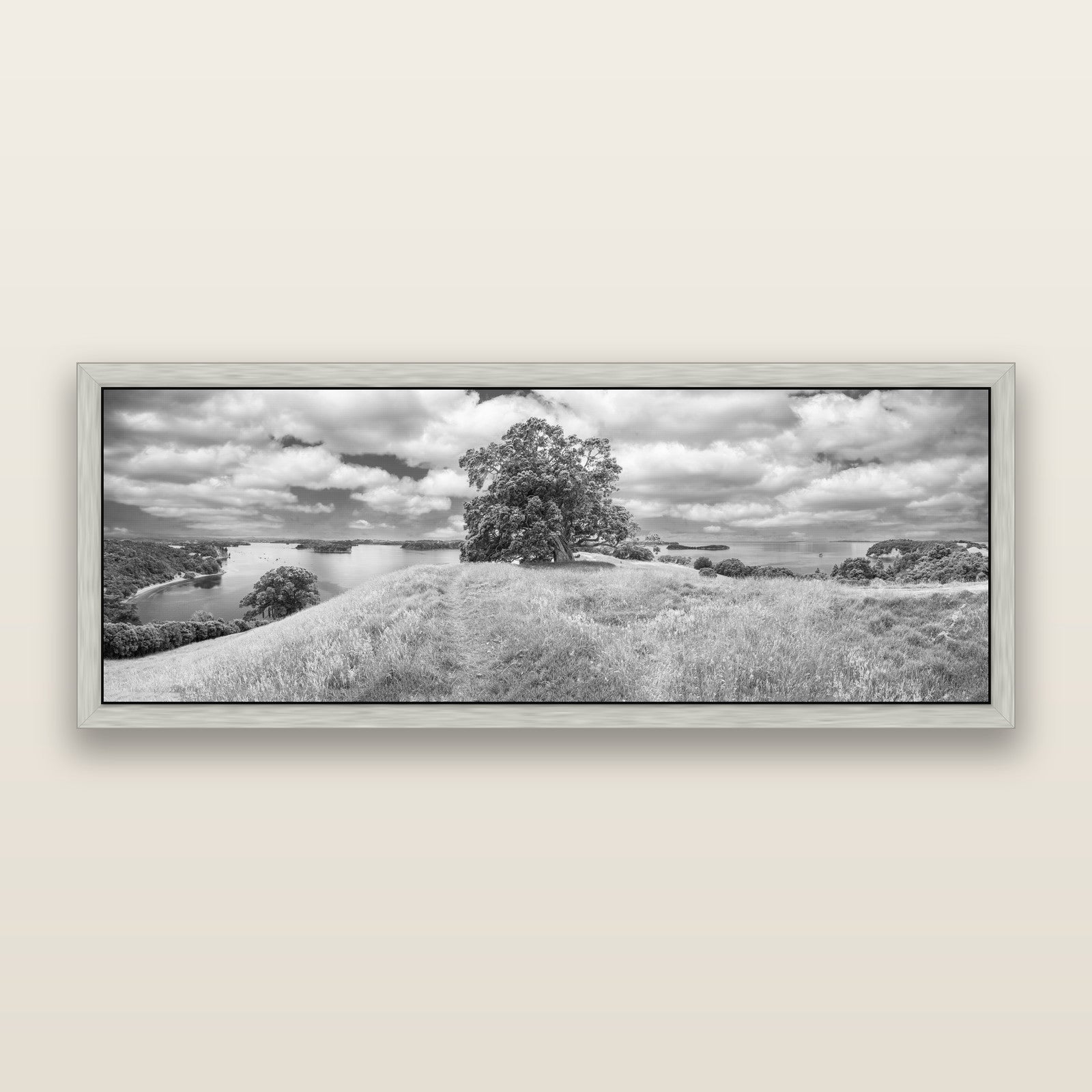 Harbour of Tranquility, Pōhutukawa Bloom at Mahurangi, black and white framed metallic canvas print, Antique Silver frame. New Zealand fine art wall art by Stephen Milner.