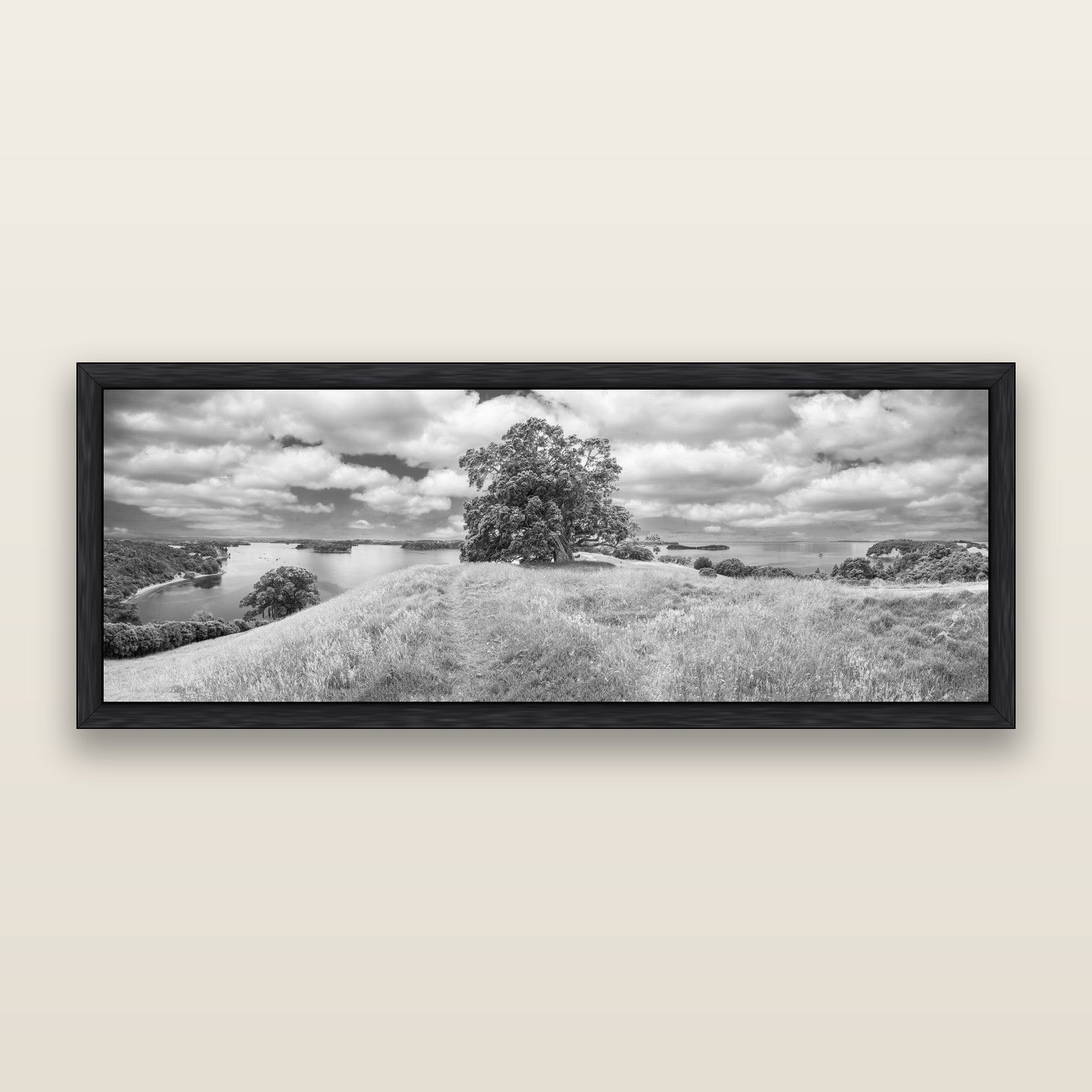 Harbour of Tranquility, Pōhutukawa Bloom at Mahurangi, black and white framed metallic canvas print, Black frame. New Zealand fine art wall art by Stephen Milner.