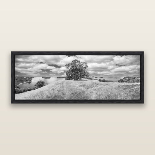 Harbour of Tranquility, Pōhutukawa Bloom at Mahurangi, black and white framed metallic canvas print, Black frame. New Zealand fine art wall art by Stephen Milner.
