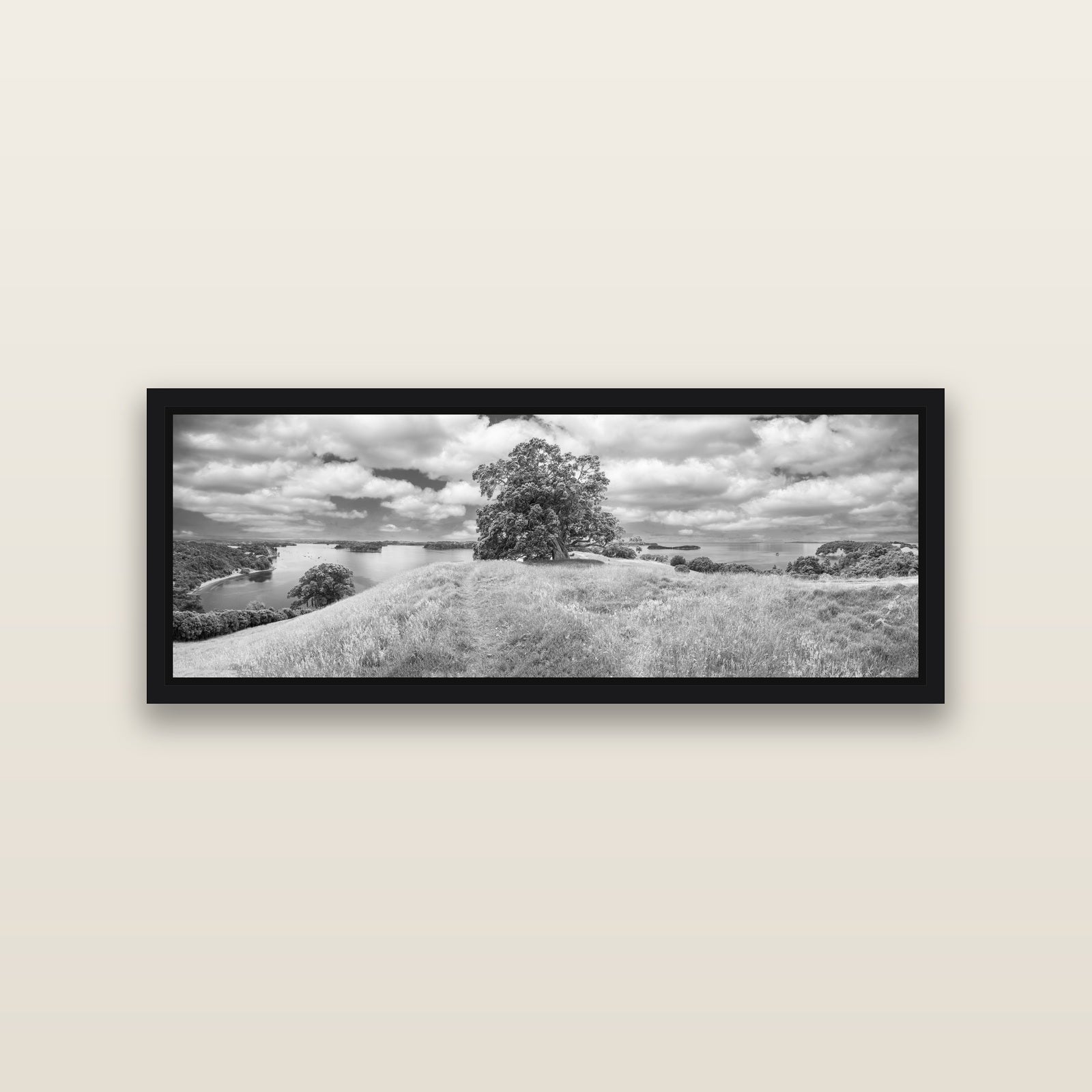 Harbour of Tranquility, Pōhutukawa Bloom at Mahurangi — Black framed metallic canvas print, small 86 × 30 cm. New Zealand fine art landscape wall art by Stephen Milner.