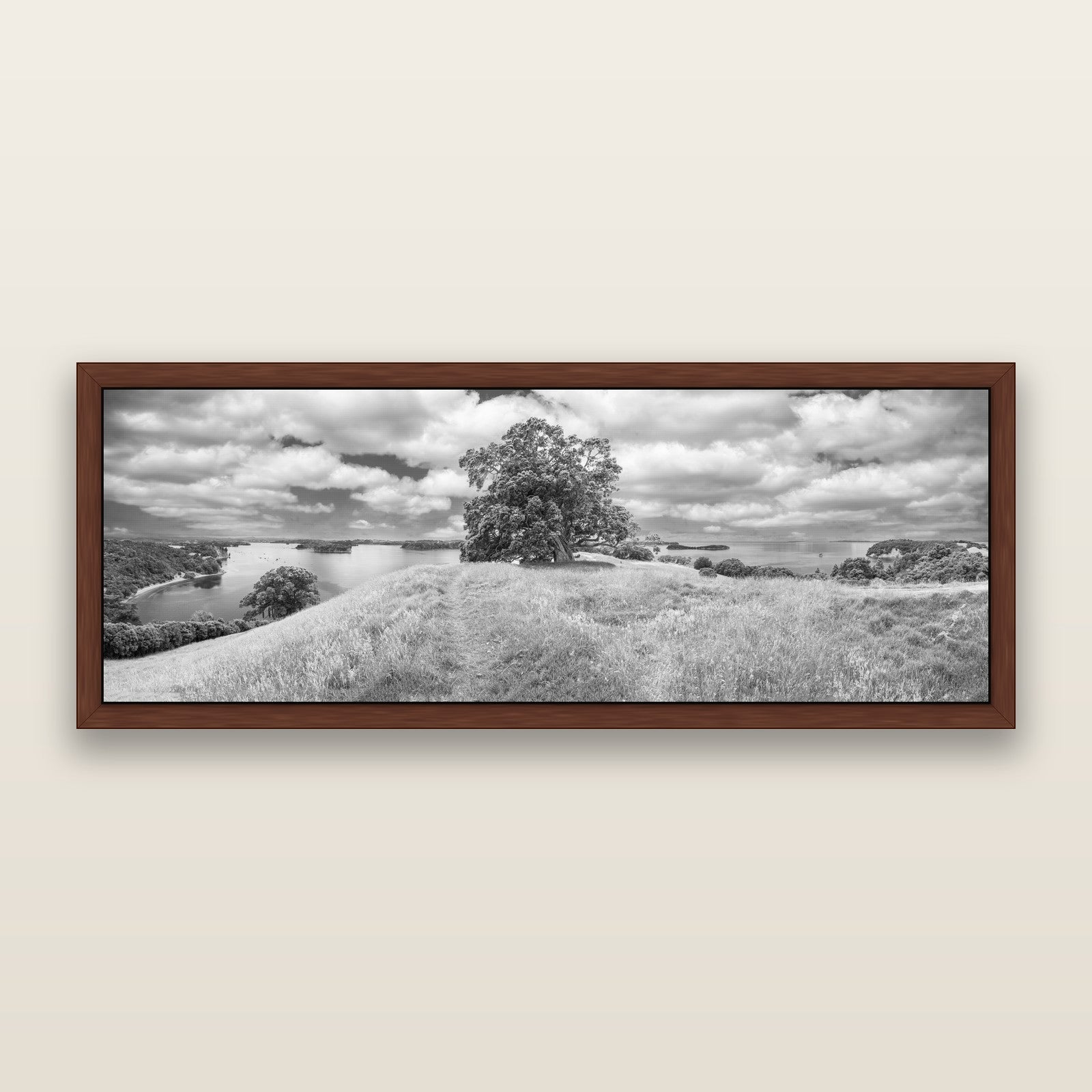 Harbour of Tranquility, Pōhutukawa Bloom at Mahurangi, black and white framed metallic canvas print, Brown frame. New Zealand fine art wall art by Stephen Milner.