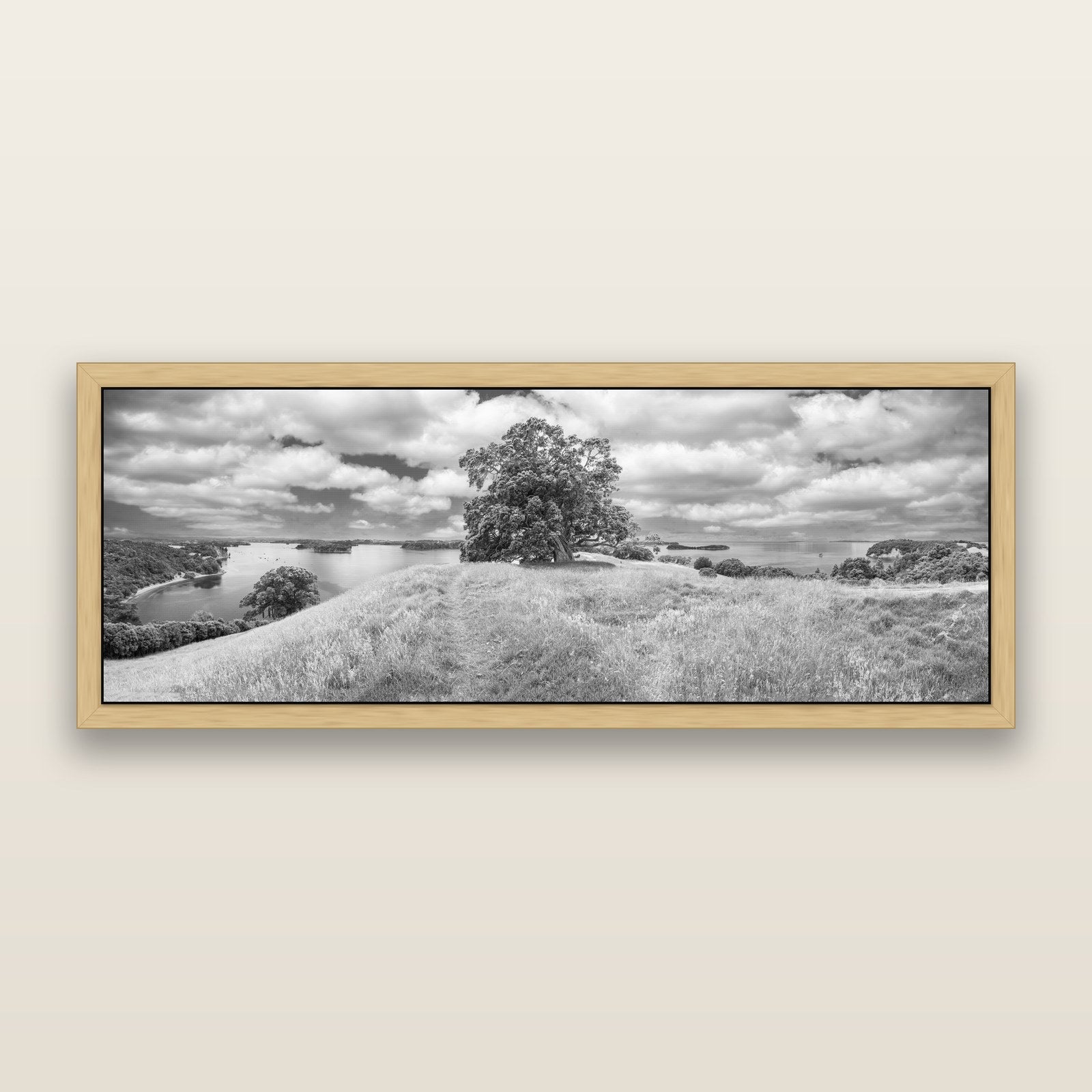 Harbour of Tranquility, Pōhutukawa Bloom at Mahurangi, black and white framed metallic canvas print, Natural frame. New Zealand fine art wall art by Stephen Milner.