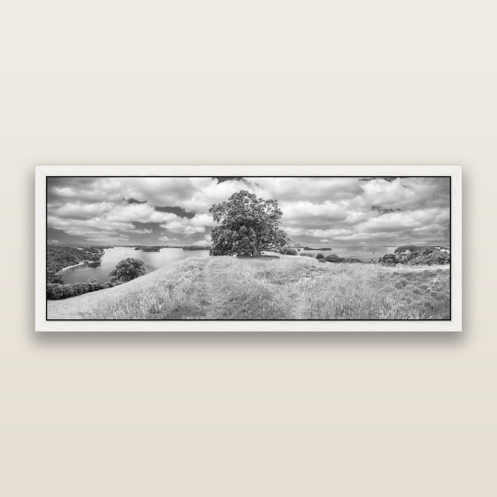 Harbour of Tranquility, Pōhutukawa Bloom at Mahurangi, black and white framed metallic canvas print, White frame. New Zealand fine art wall art by Stephen Milner.