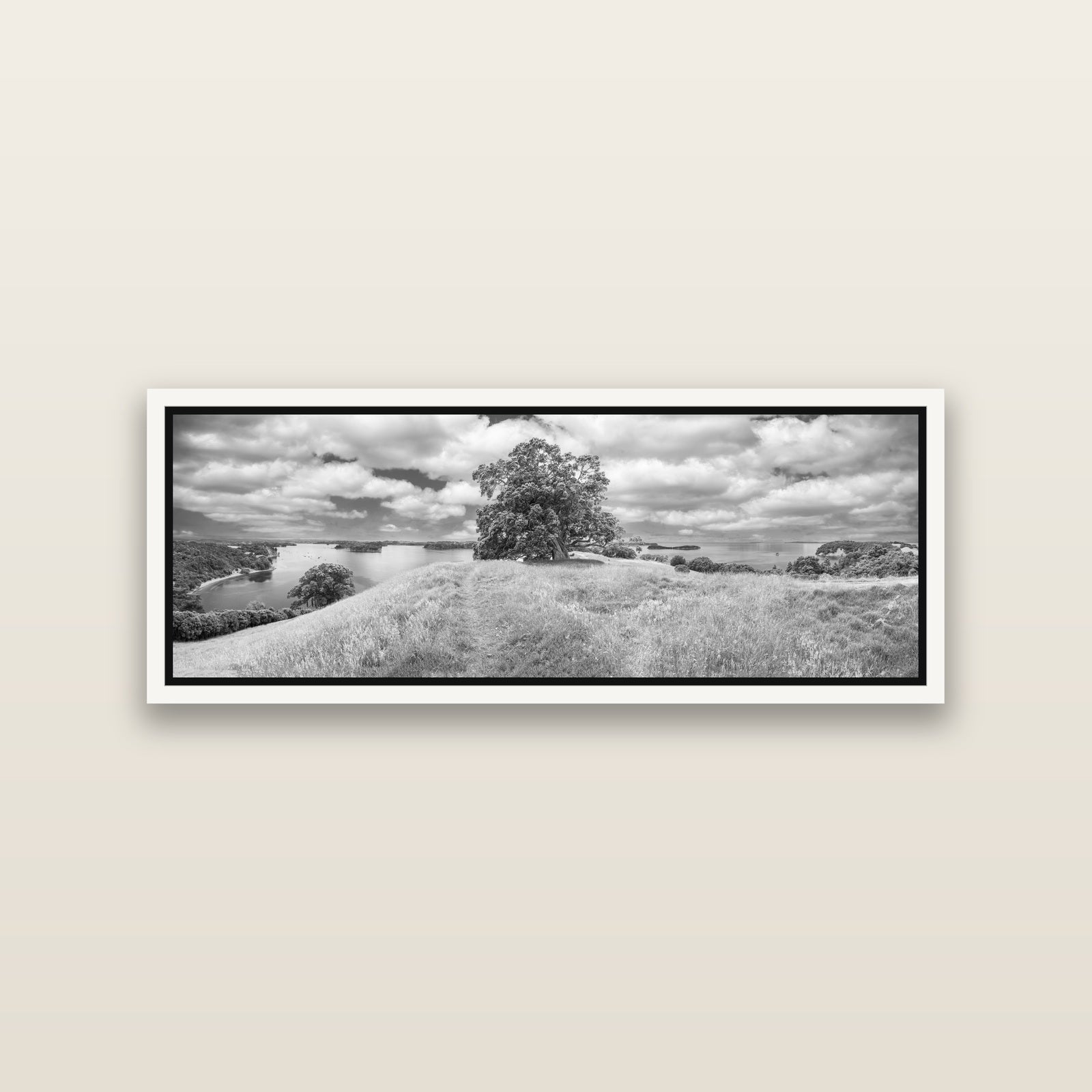 Harbour of Tranquility, Pōhutukawa Bloom at Mahurangi — White framed metallic canvas print, small 86 × 30 cm. New Zealand fine art landscape wall art by Stephen Milner.