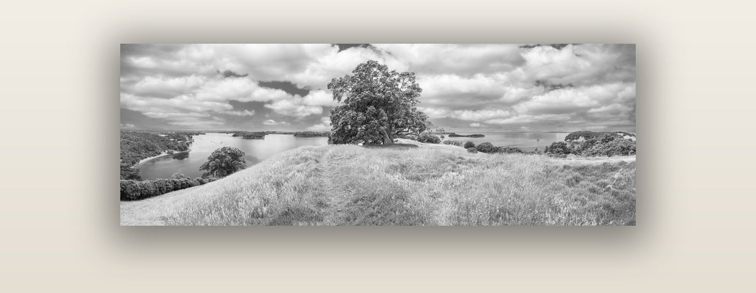 Harbour of Tranquility, Pōhutukawa Bloom at Mahurangi — acrylic glass print, 122 × 41 cm. New Zealand fine art landscape wall art by Stephen Milner.