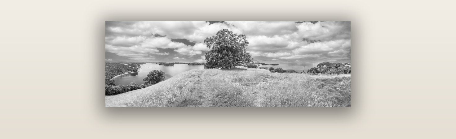 Harbour of Tranquility, Pōhutukawa Bloom at Mahurangi — acrylic glass print, 76 × 25 cm. New Zealand fine art landscape wall art by Stephen Milner.