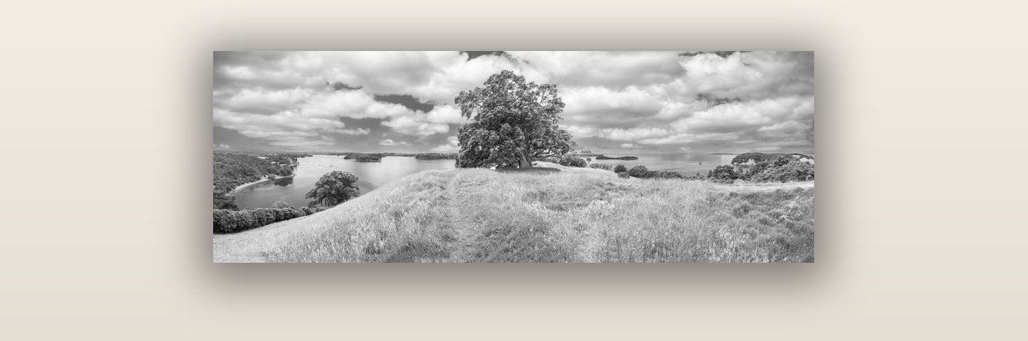 Harbour of Tranquility, Pōhutukawa Bloom at Mahurangi — acrylic glass print, 91 × 30 cm. New Zealand fine art landscape wall art by Stephen Milner.