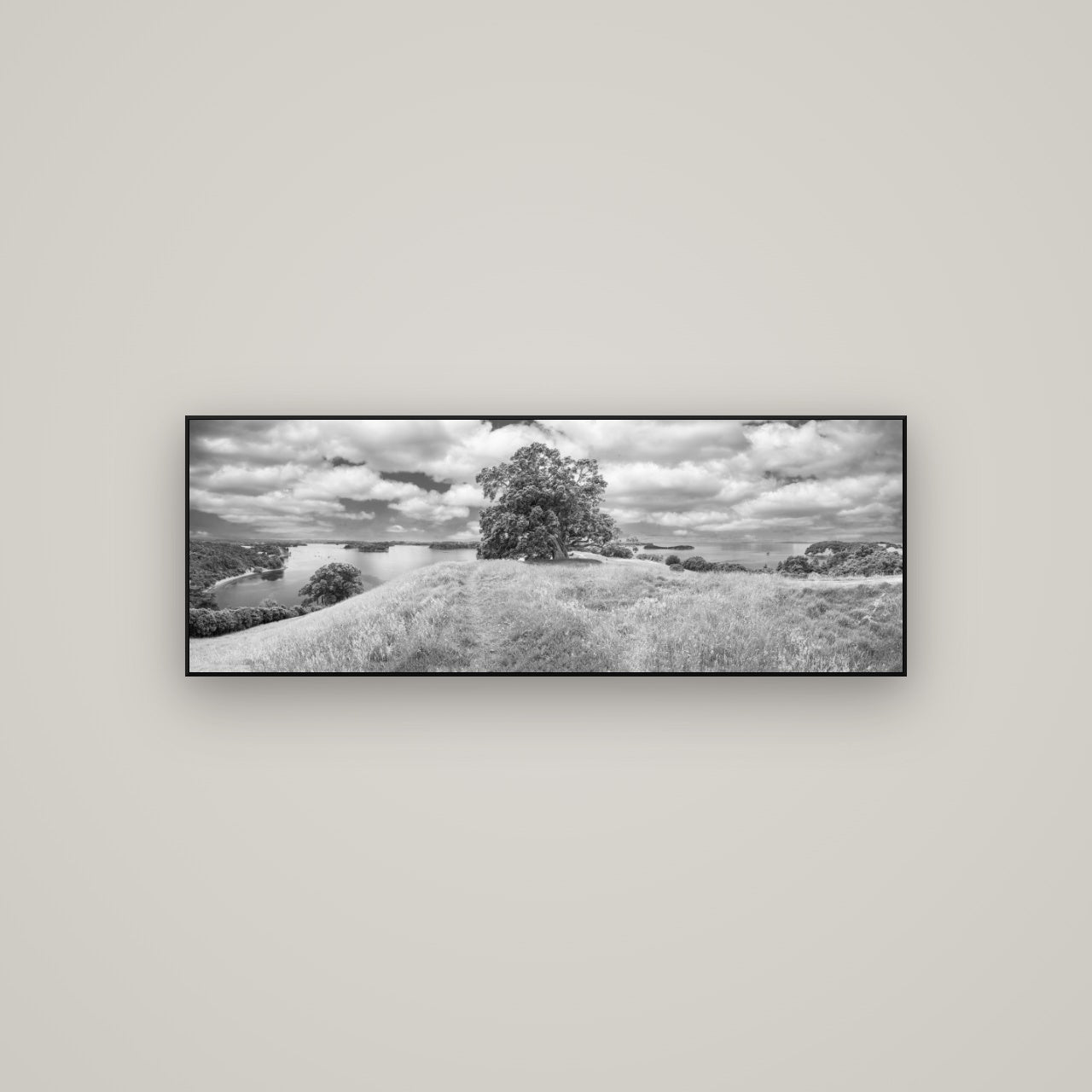 Harbour of Tranquility, Pōhutukawa Bloom at Mahurangi — ArtBox Black, 113×40 cm. New Zealand fine art wall art by Stephen Milner.