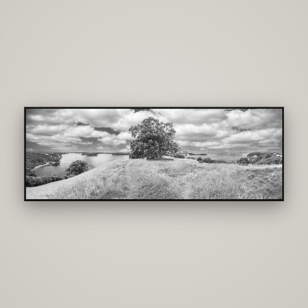 Harbour of Tranquility, Pōhutukawa Bloom at Mahurangi — ArtBox Black, 170×60 cm. New Zealand fine art wall art by Stephen Milner.