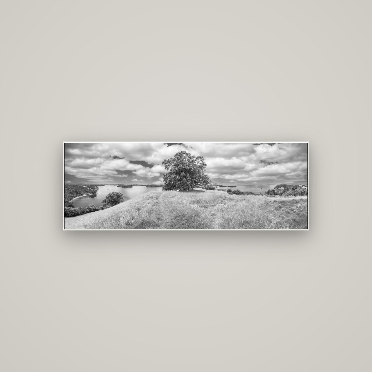 Harbour of Tranquility, Pōhutukawa Bloom at Mahurangi — ArtBox White, 113×40 cm. New Zealand fine art wall art by Stephen Milner.