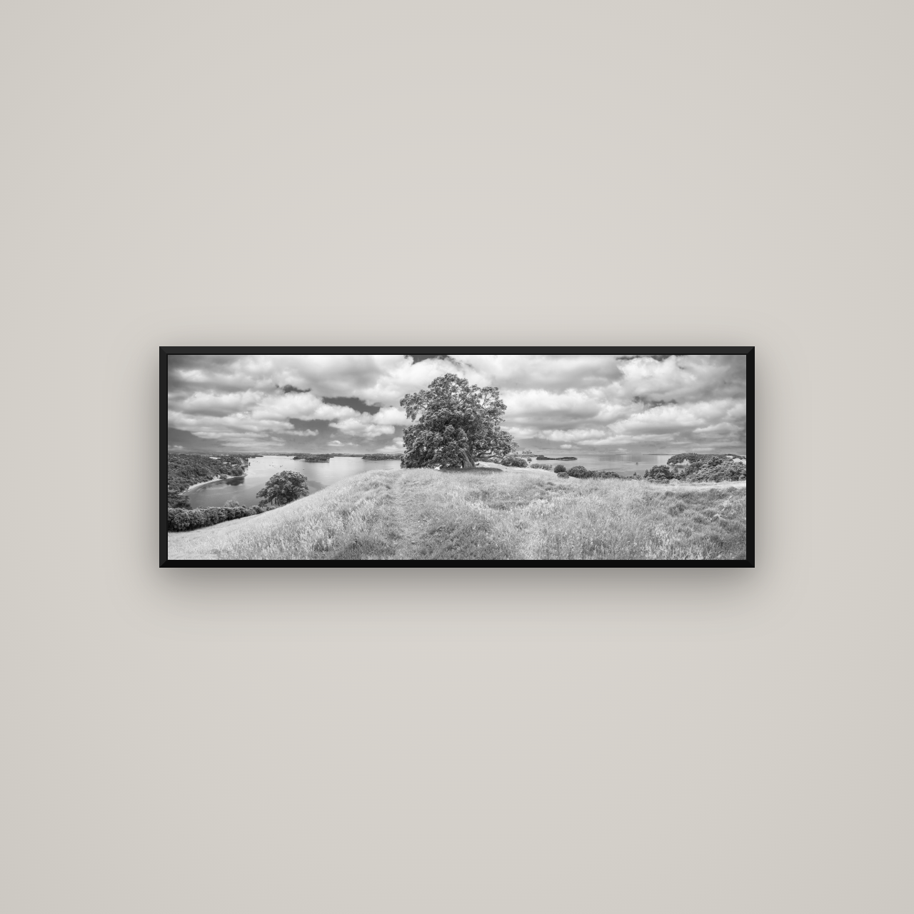 Harbour of Tranquility, Pōhutukawa Bloom at Mahurangi — Basel Black Matte, 113×40 cm. New Zealand fine art wall art by Stephen Milner.