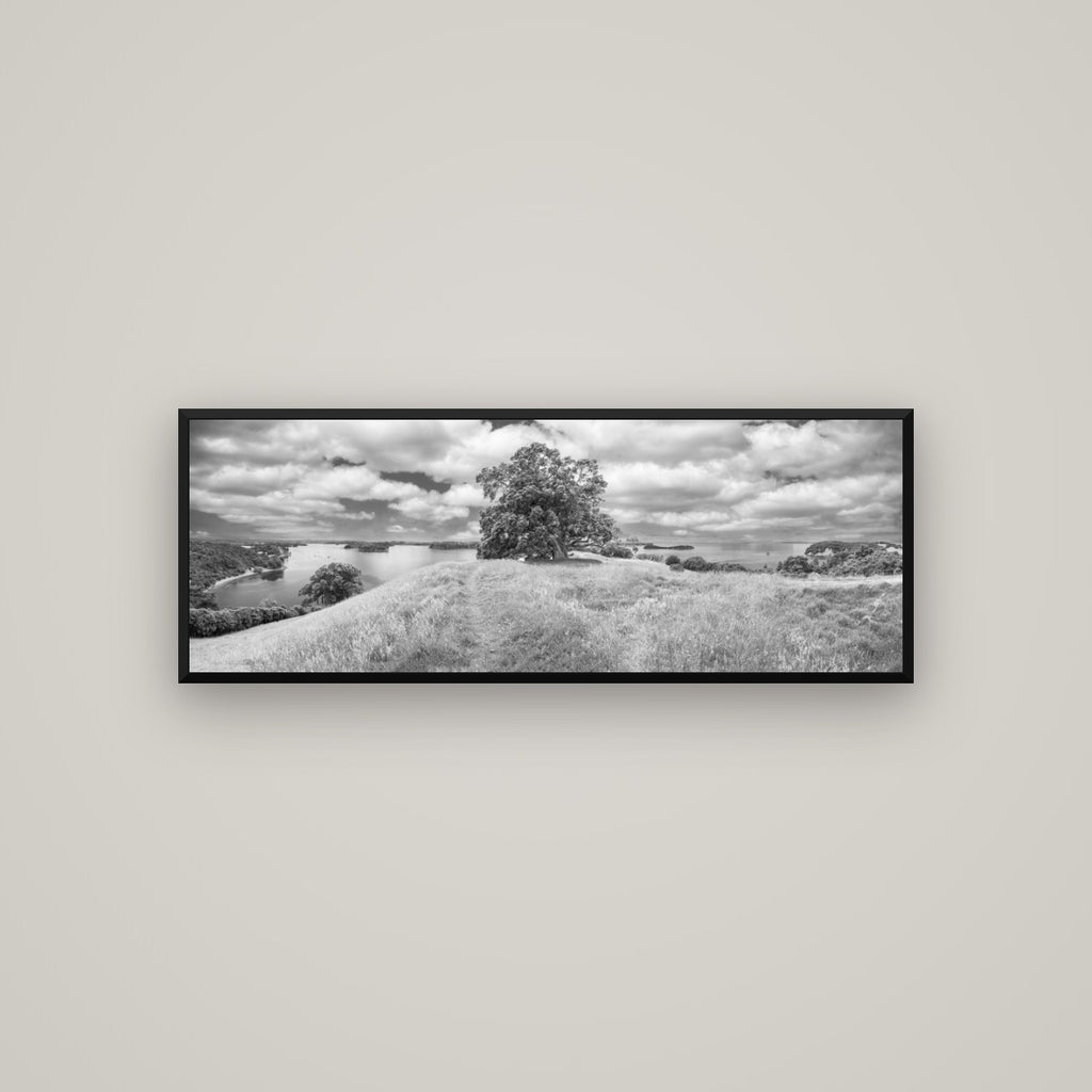 Harbour of Tranquility, Pōhutukawa Bloom at Mahurangi — Basel Black Matte, 113×40 cm. New Zealand fine art wall art by Stephen Milner.