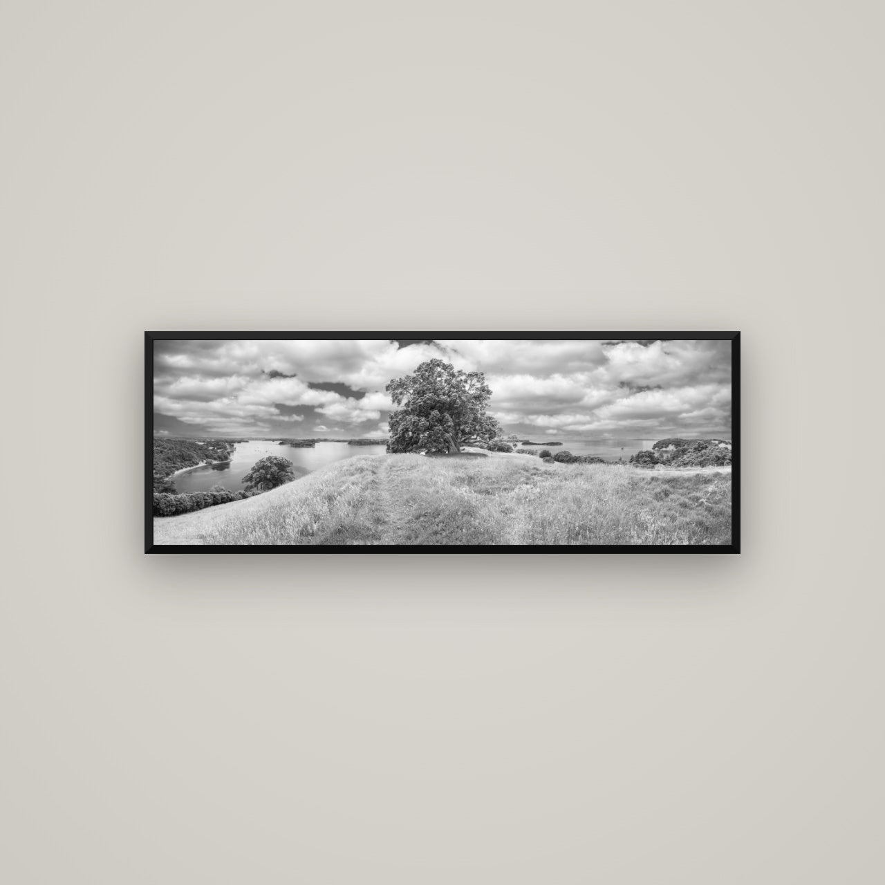 Harbour of Tranquility, Pōhutukawa Bloom at Mahurangi — Basel Black, 113×40 cm. New Zealand fine art wall art by Stephen Milner.