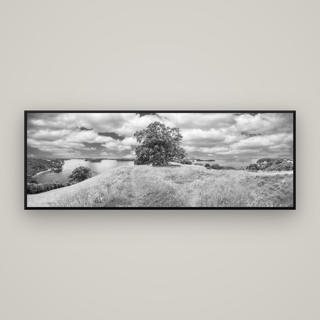 Harbour of Tranquility, Pōhutukawa Bloom at Mahurangi — Basel Black Matte, 170×60 cm. New Zealand fine art wall art by Stephen Milner.