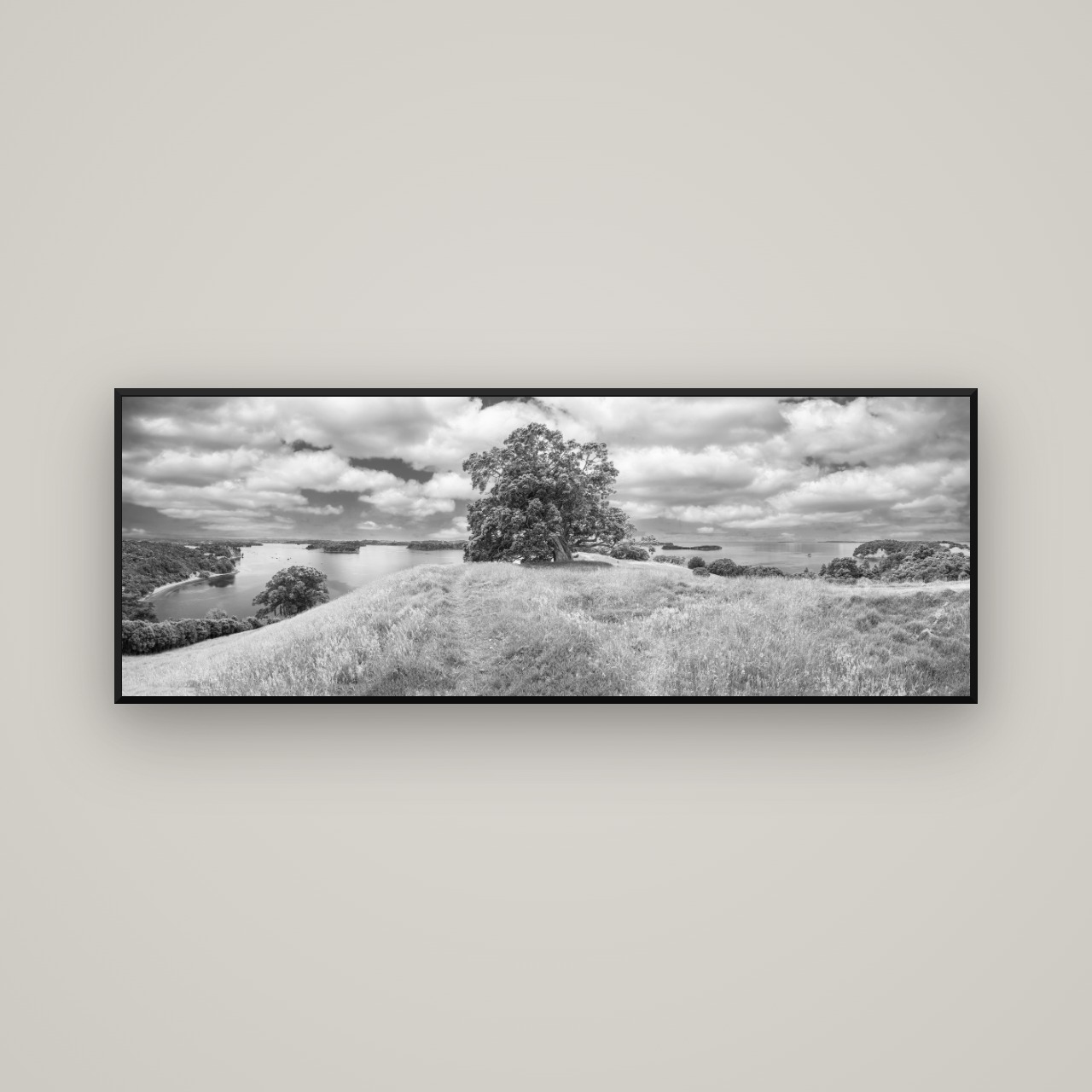 Harbour of Tranquility, Pōhutukawa Bloom at Mahurangi — Basel Black Matte, 170×60 cm. New Zealand fine art wall art by Stephen Milner.