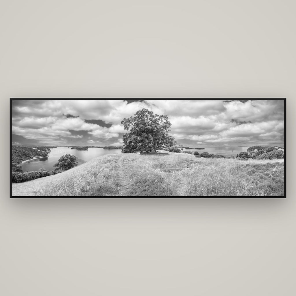 Harbour of Tranquility, Pōhutukawa Bloom at Mahurangi — Basel Black Matte, 198×70 cm. New Zealand fine art wall art by Stephen Milner.