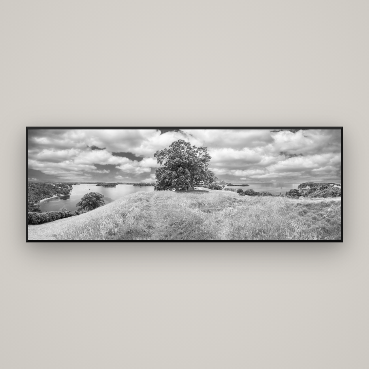 Harbour of Tranquility, Pōhutukawa Bloom at Mahurangi — Basel Black Matte, 198×70 cm. New Zealand fine art wall art by Stephen Milner.