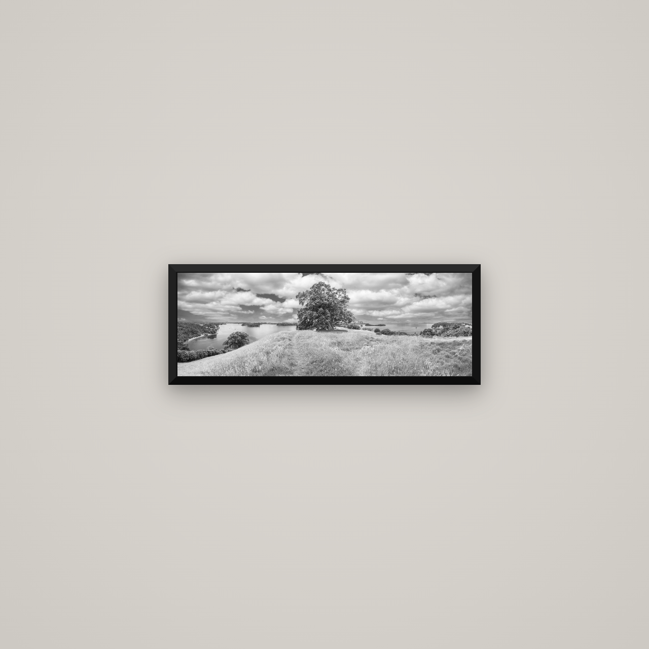 Harbour of Tranquility, Pōhutukawa Bloom at Mahurangi — Basel Black Matte, 57×20 cm. New Zealand fine art wall art by Stephen Milner.