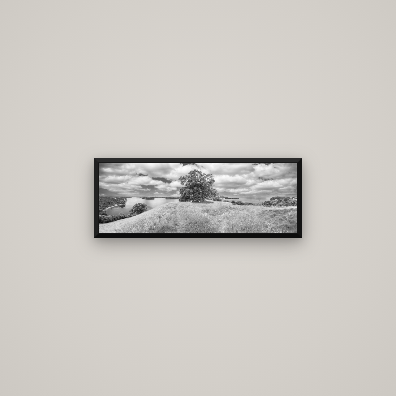 Harbour of Tranquility, Pōhutukawa Bloom at Mahurangi — Basel Black Matte, 68×24 cm. New Zealand fine art wall art by Stephen Milner.