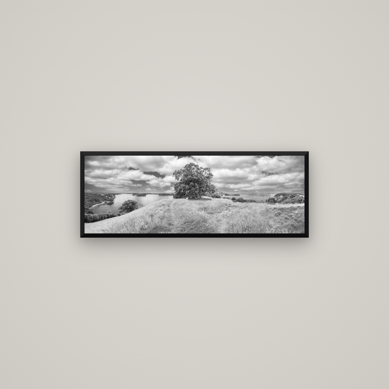 Harbour of Tranquility, Pōhutukawa Bloom at Mahurangi — Basel Black Matte, 85×30 cm. New Zealand fine art wall art by Stephen Milner.
