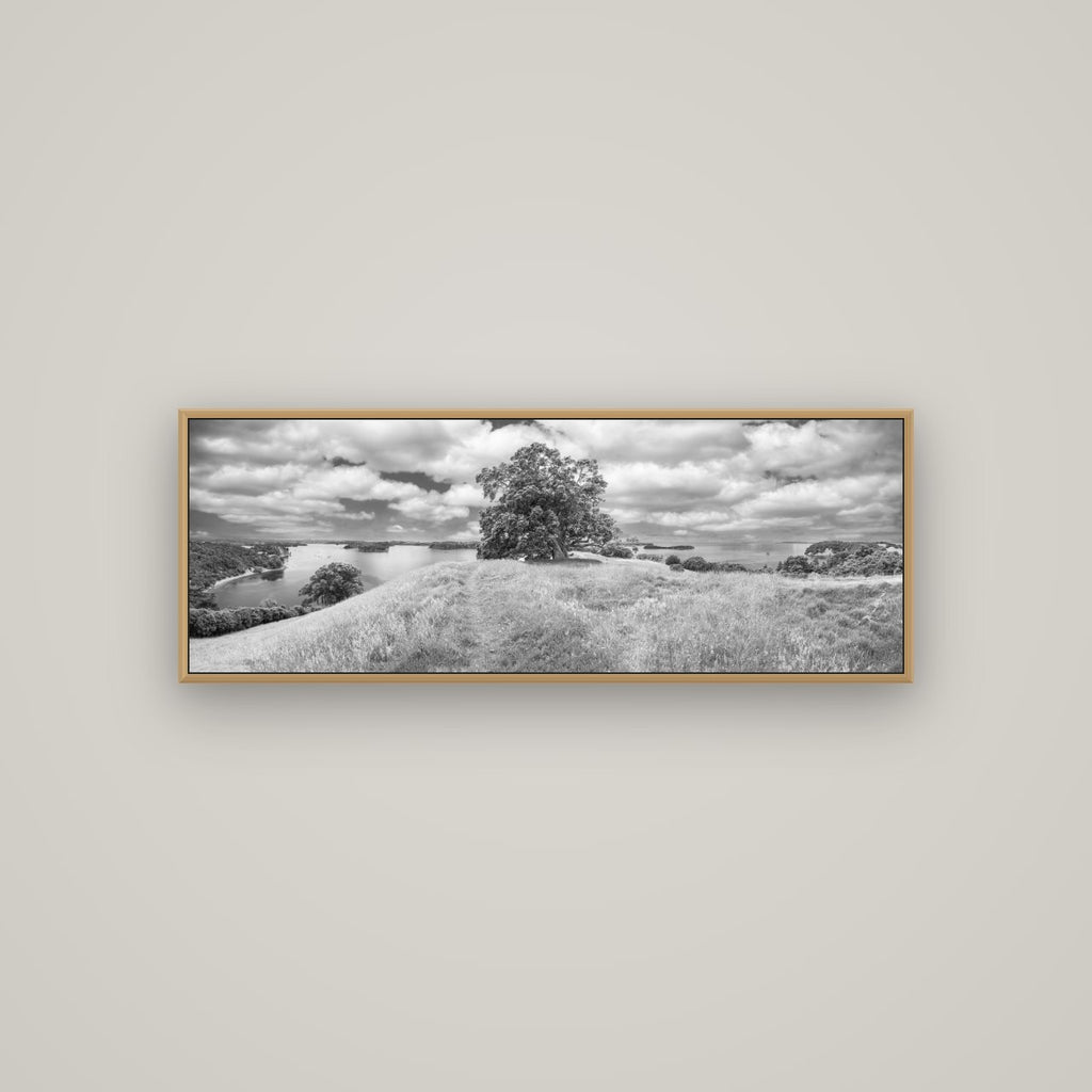 Harbour of Tranquility, Pōhutukawa Bloom at Mahurangi, Basel Natural Oak, 113×40 cm. New Zealand fine art wall art by Stephen Milner.