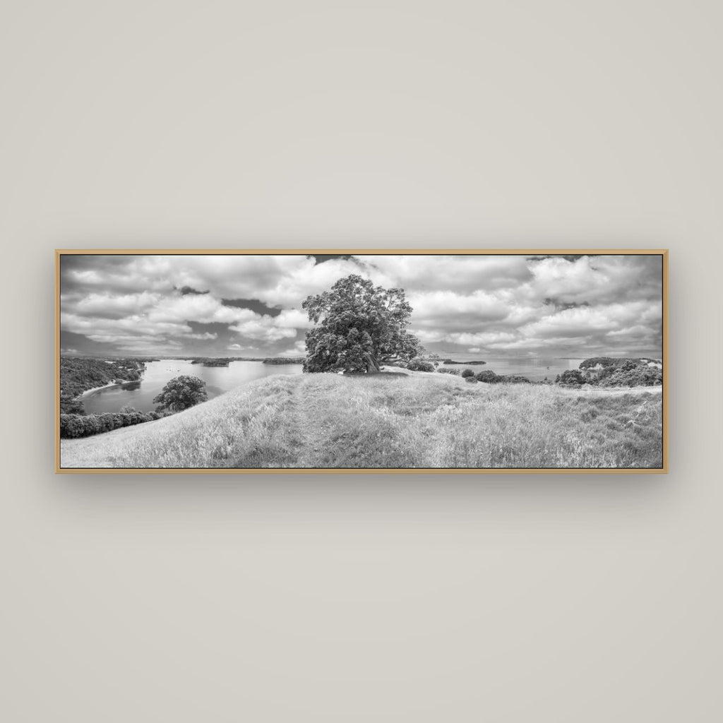Harbour of Tranquility, Pōhutukawa Bloom at Mahurangi, Basel Natural Oak, 170×60 cm. New Zealand fine art wall art by Stephen Milner.