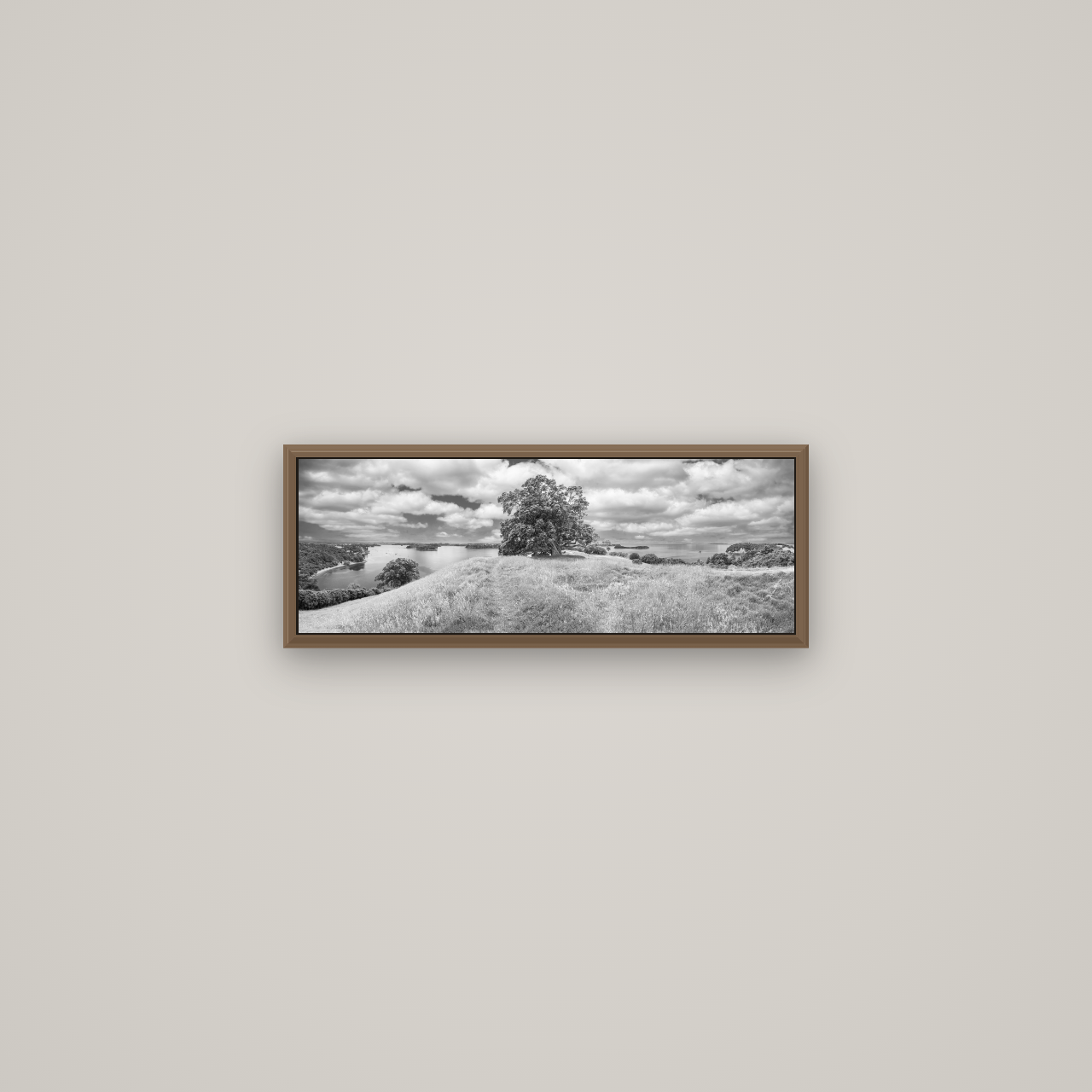 Harbour of Tranquility, Pōhutukawa Bloom at Mahurangi, Basel Walnut, 57×20 cm. New Zealand fine art wall art by Stephen Milner.
