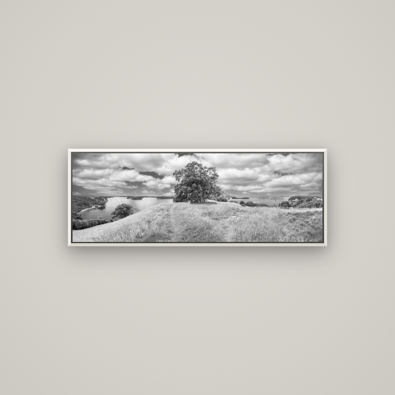 Harbour of Tranquility, Pōhutukawa Bloom at Mahurangi — Basel White, 113×40 cm. New Zealand fine art wall art by Stephen Milner.