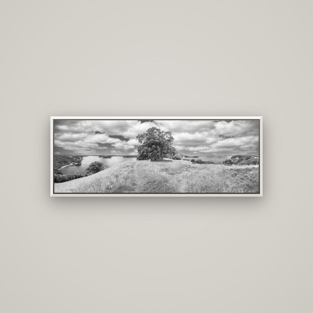 Harbour of Tranquility, Pōhutukawa Bloom at Mahurangi — Basel White, 113×40 cm. New Zealand fine art wall art by Stephen Milner.