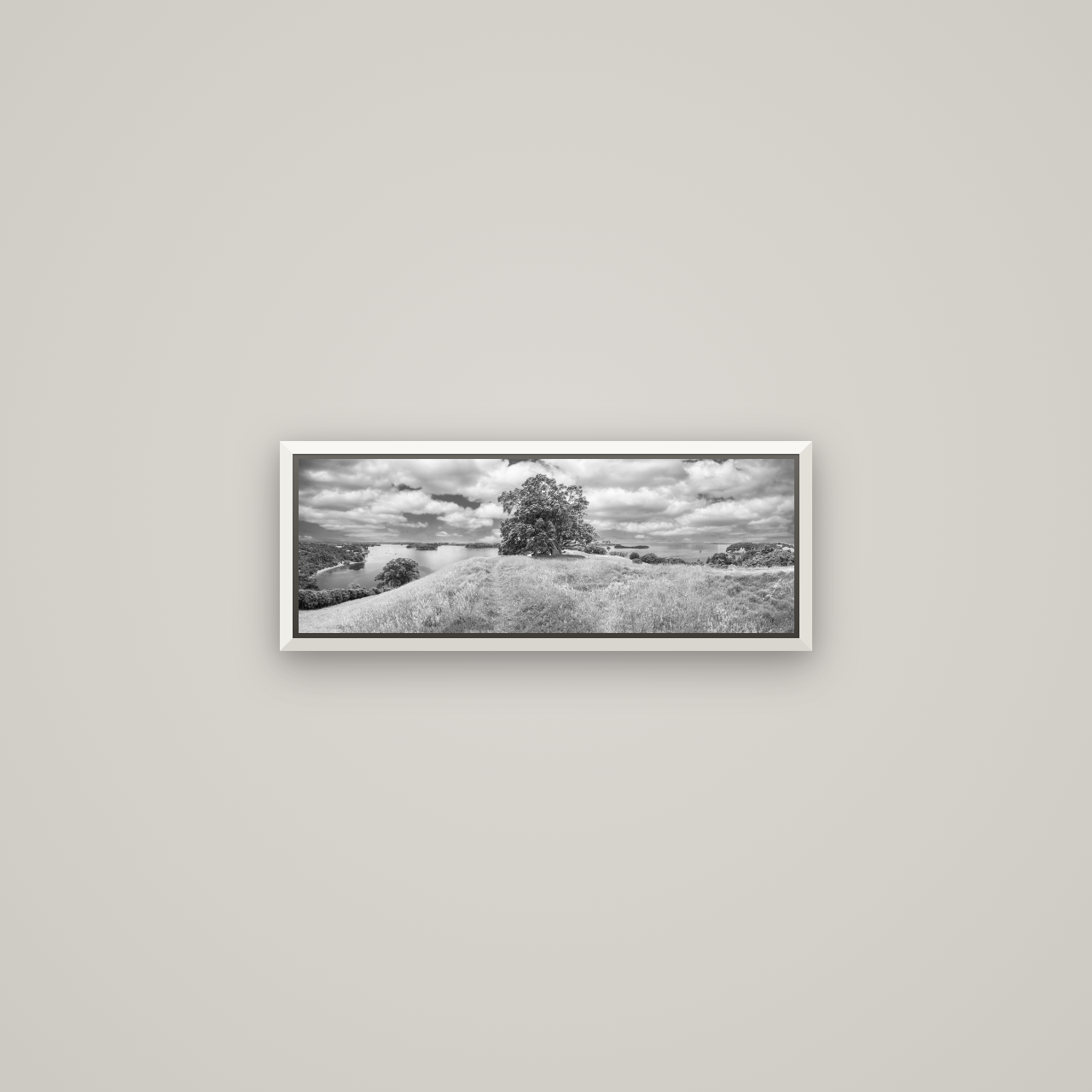 Harbour of Tranquility, Pōhutukawa Bloom at Mahurangi — Basel White, 57×20 cm. New Zealand fine art wall art by Stephen Milner.