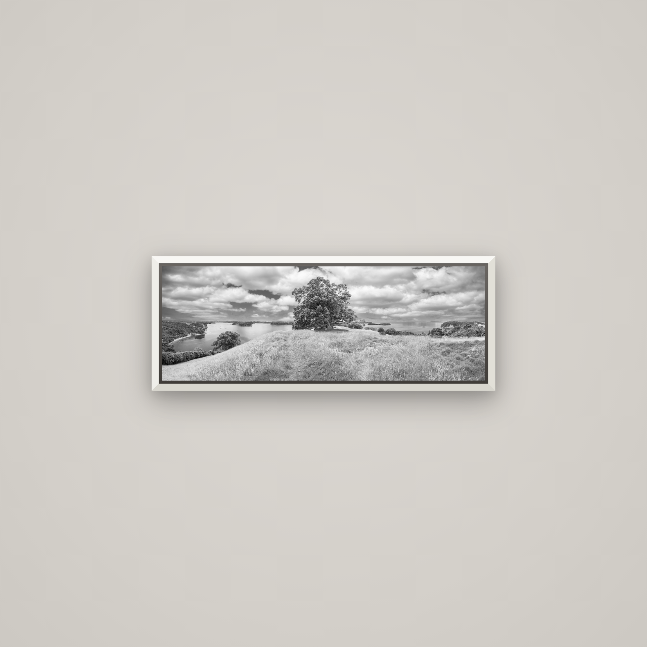 Harbour of Tranquility, Pōhutukawa Bloom at Mahurangi — Basel White, 68×24 cm. New Zealand fine art wall art by Stephen Milner.