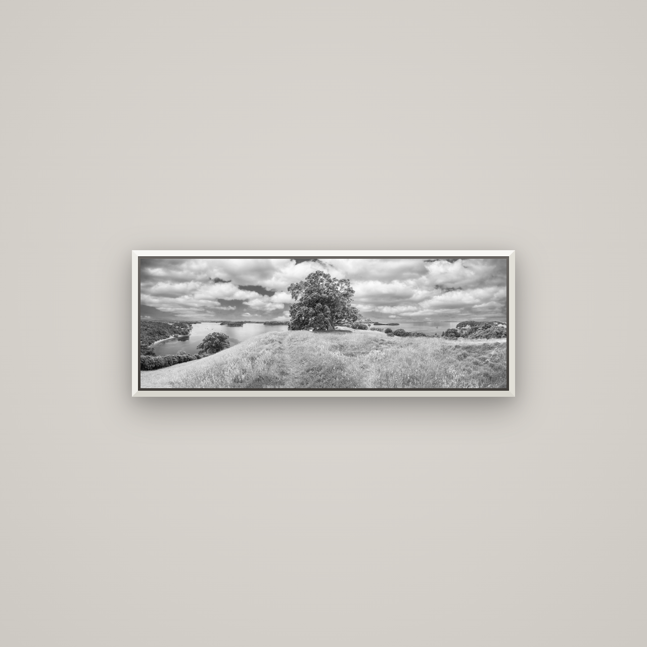 Harbour of Tranquility, Pōhutukawa Bloom at Mahurangi — Basel White, 85×30 cm. New Zealand fine art wall art by Stephen Milner.