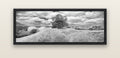 Harbour of Tranquility, Pōhutukawa Bloom at Mahurangi — black float frame canvas, 152 × 56 cm. New Zealand fine art landscape wall art by Stephen Milner.