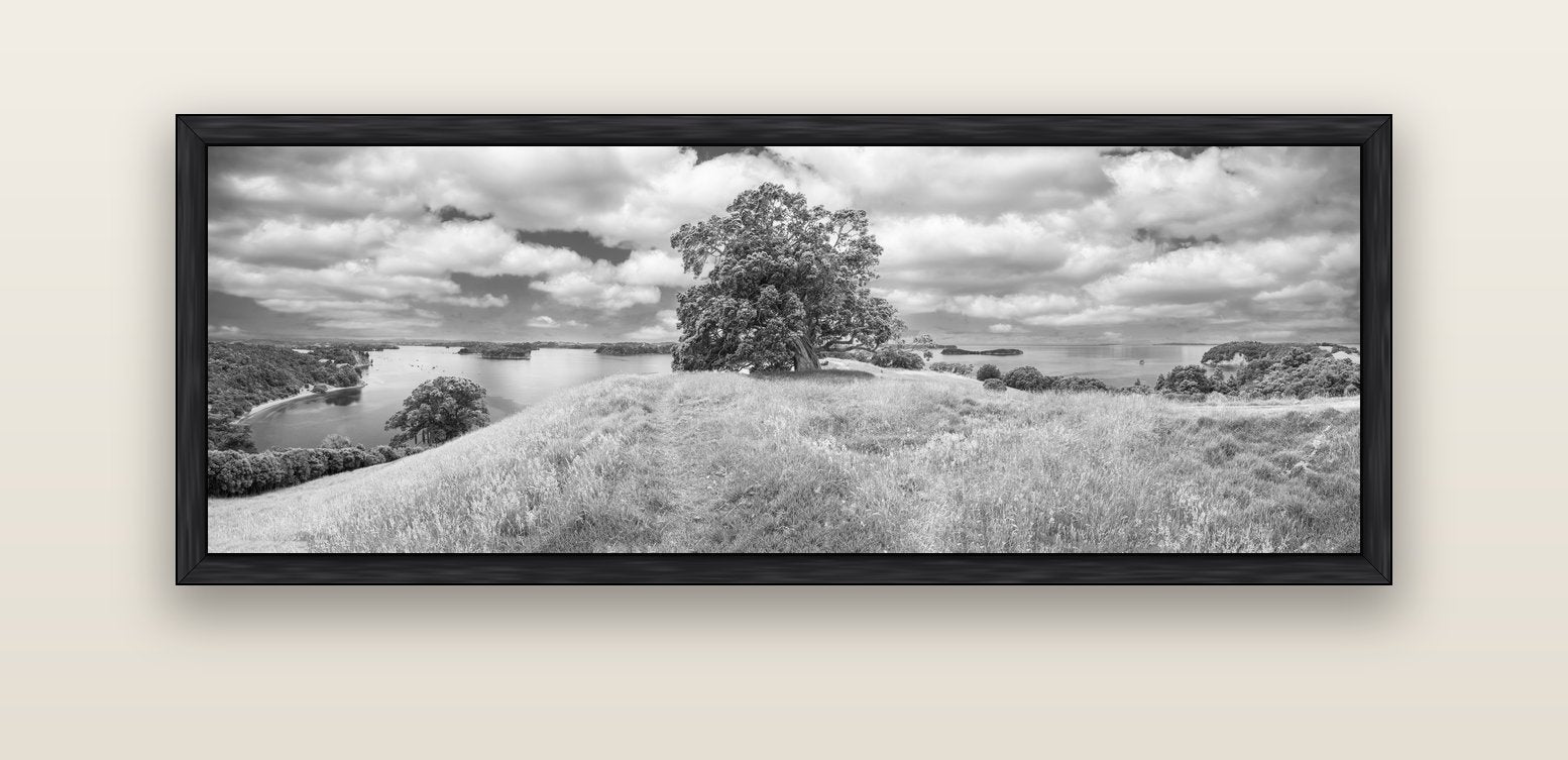 Harbour of Tranquility, Pōhutukawa Bloom at Mahurangi — black float frame canvas, 152 × 56 cm. New Zealand fine art landscape wall art by Stephen Milner.
