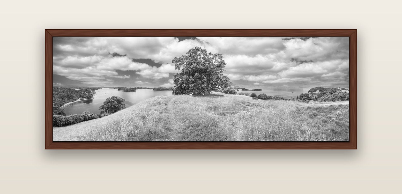 Harbour of Tranquility, Pōhutukawa Bloom at Mahurangi — brown float frame canvas, 152 × 56 cm. New Zealand fine art landscape wall art by Stephen Milner.