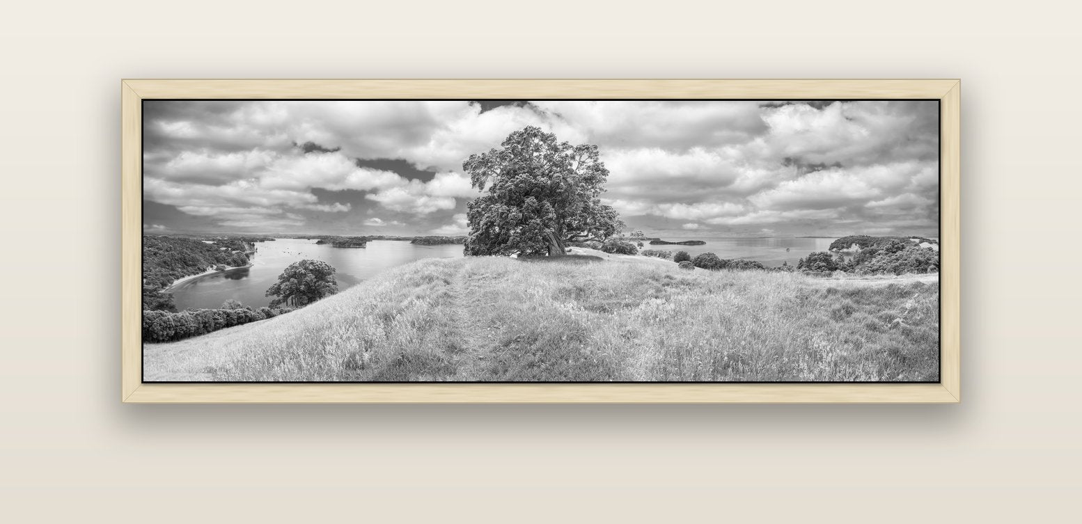Harbour of Tranquility, Pōhutukawa Bloom at Mahurangi — natural float frame canvas, 152 × 56 cm. New Zealand fine art landscape wall art by Stephen Milner.