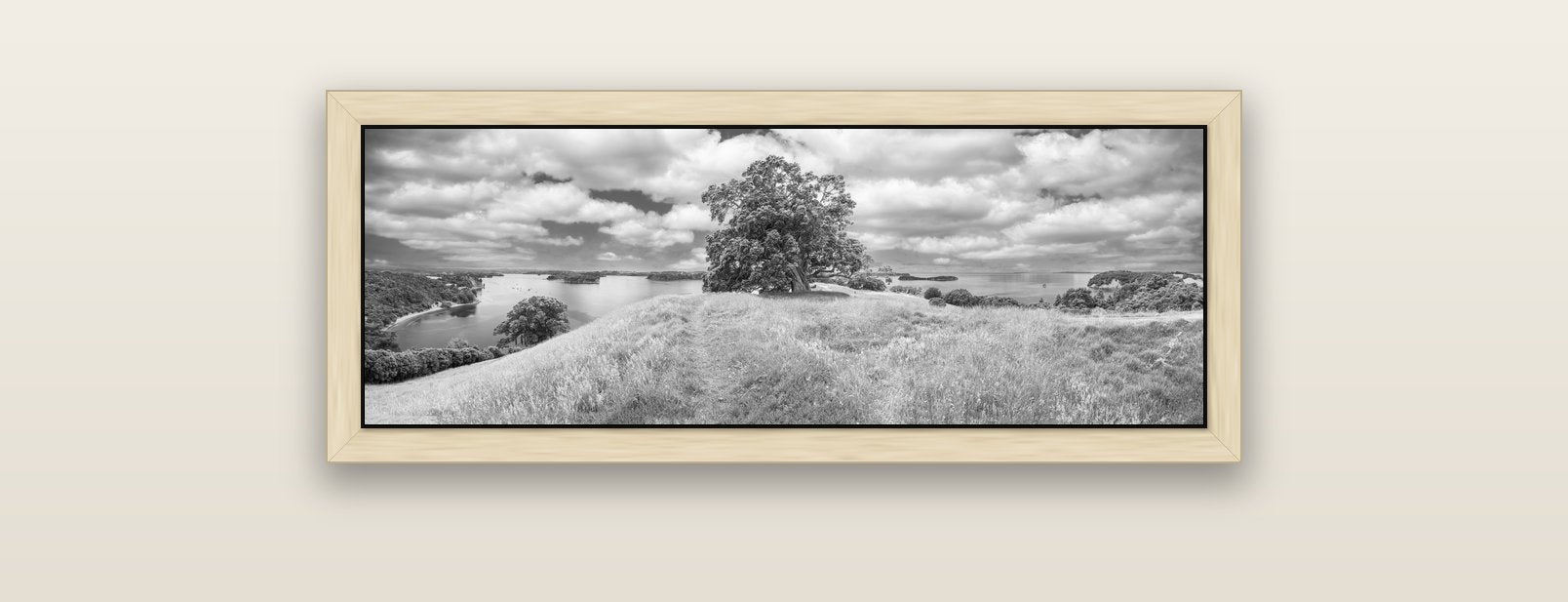 Harbour of Tranquility, Pōhutukawa Bloom at Mahurangi — natural float frame canvas, 91 × 31 cm. New Zealand fine art landscape wall art by Stephen Milner.