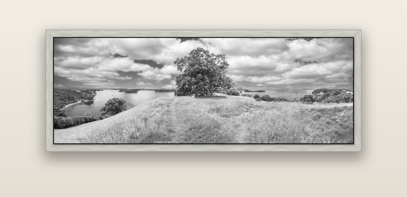 Harbour of Tranquility, Pōhutukawa Bloom at Mahurangi — silver float frame canvas, 152 × 56 cm. New Zealand fine art landscape wall art by Stephen Milner.