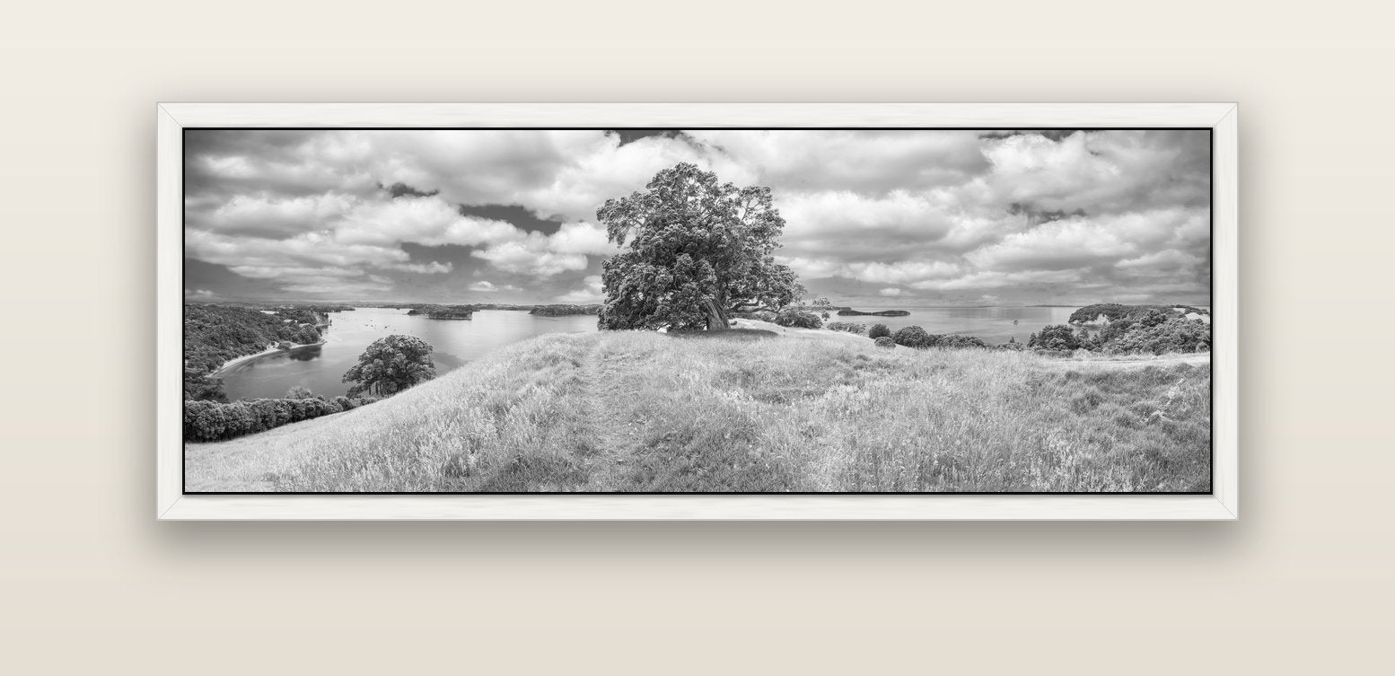 Harbour of Tranquility, Pōhutukawa Bloom at Mahurangi — white float frame canvas, 152 × 56 cm. New Zealand fine art landscape wall art by Stephen Milner.