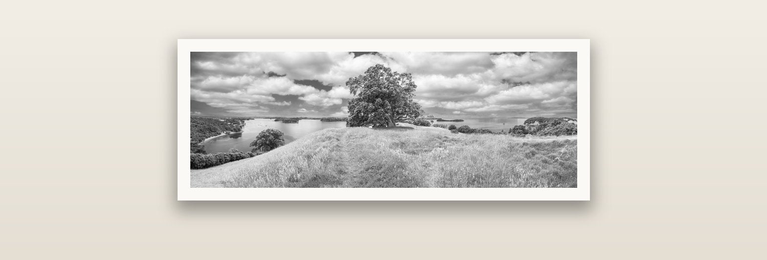 Harbour of Tranquility, Pōhutukawa Bloom at Mahurangi — Hahnemühle fine art print, 76 × 25 cm. New Zealand fine art landscape photography by Stephen Milner.