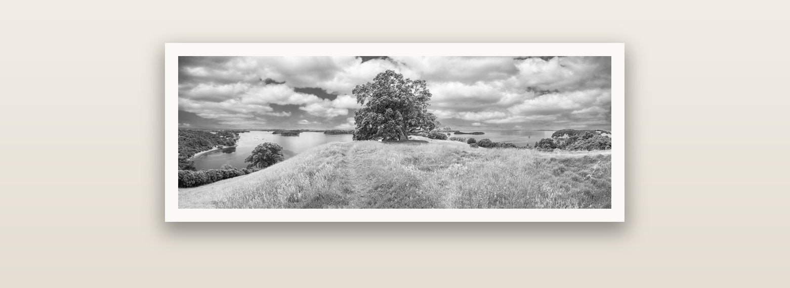 Harbour of Tranquility, Pōhutukawa Bloom at Mahurangi — Hahnemühle fine art print, 90 × 30 cm. New Zealand fine art landscape photography by Stephen Milner.