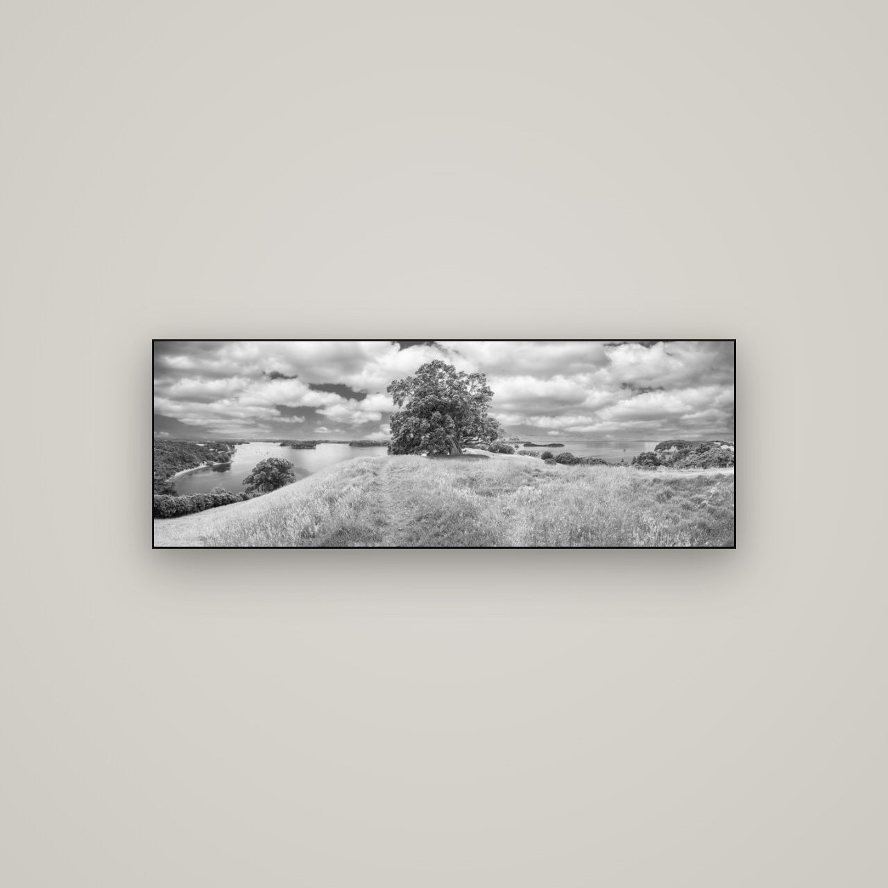Harbour of Tranquility, Pōhutukawa Bloom at Mahurangi — Slimline Black, 113×40 cm. New Zealand fine art wall art by Stephen Milner.