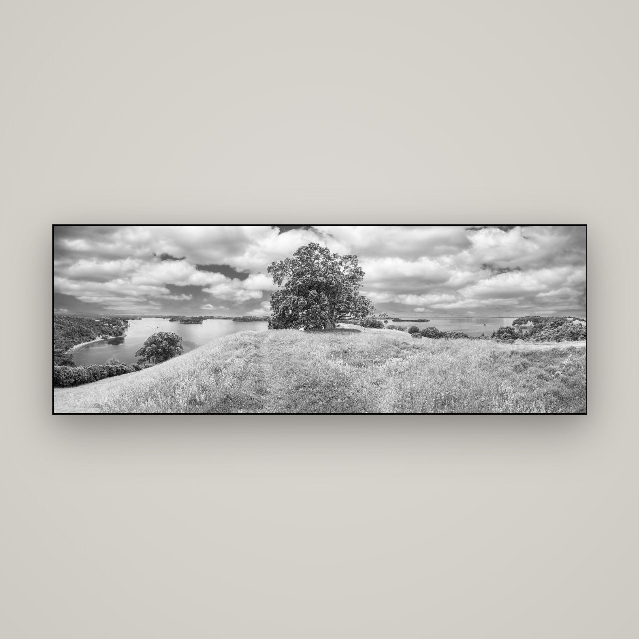 Harbour of Tranquility, Pōhutukawa Bloom at Mahurangi — Slimline Black, 170×60 cm. New Zealand fine art wall art by Stephen Milner.