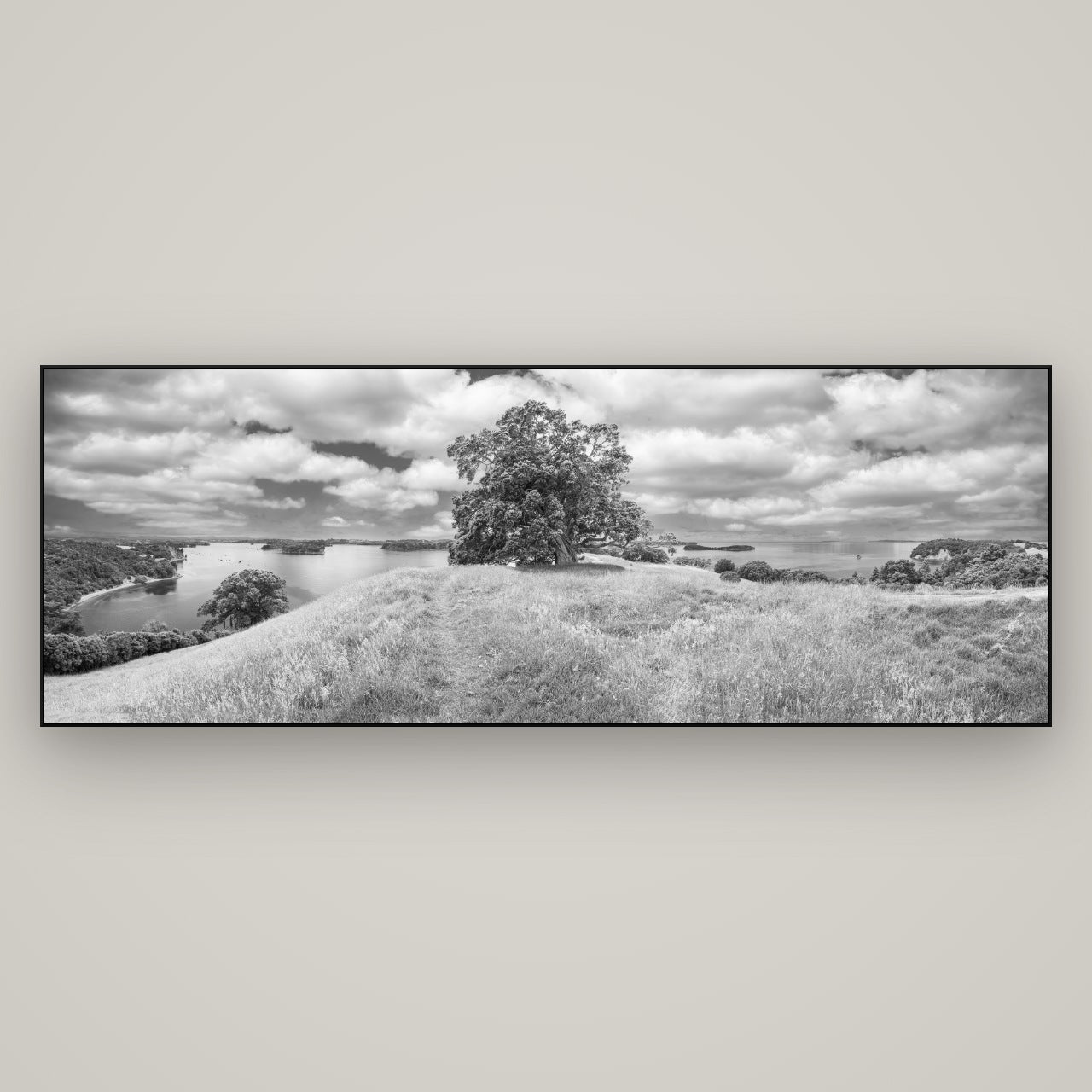 Harbour of Tranquility, Pōhutukawa Bloom at Mahurangi — Slimline Black, 198×70 cm. New Zealand fine art wall art by Stephen Milner.