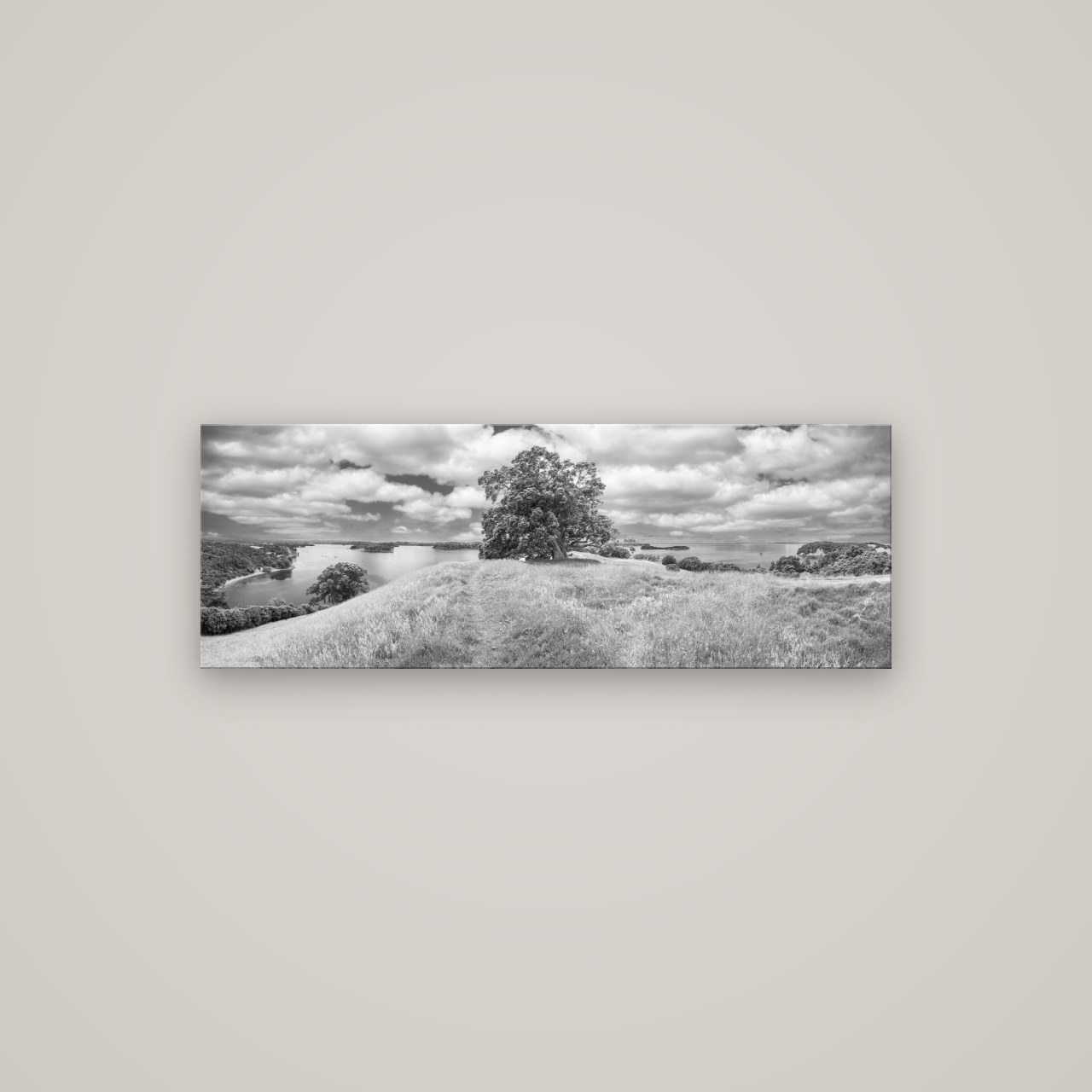 Harbour of Tranquility, Pōhutukawa Bloom at Mahurangi — No frame, 113×40 cm. New Zealand fine art wall art by Stephen Milner.